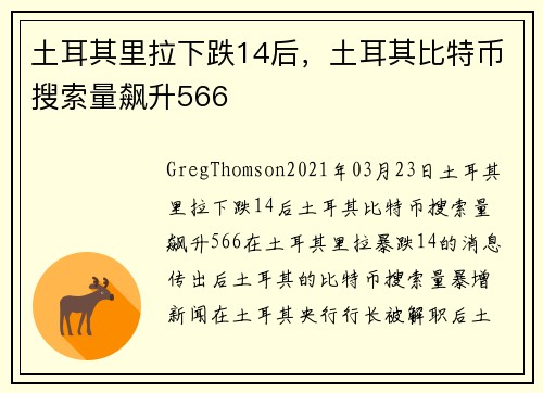 土耳其里拉下跌14后，土耳其比特币搜索量飙升566 